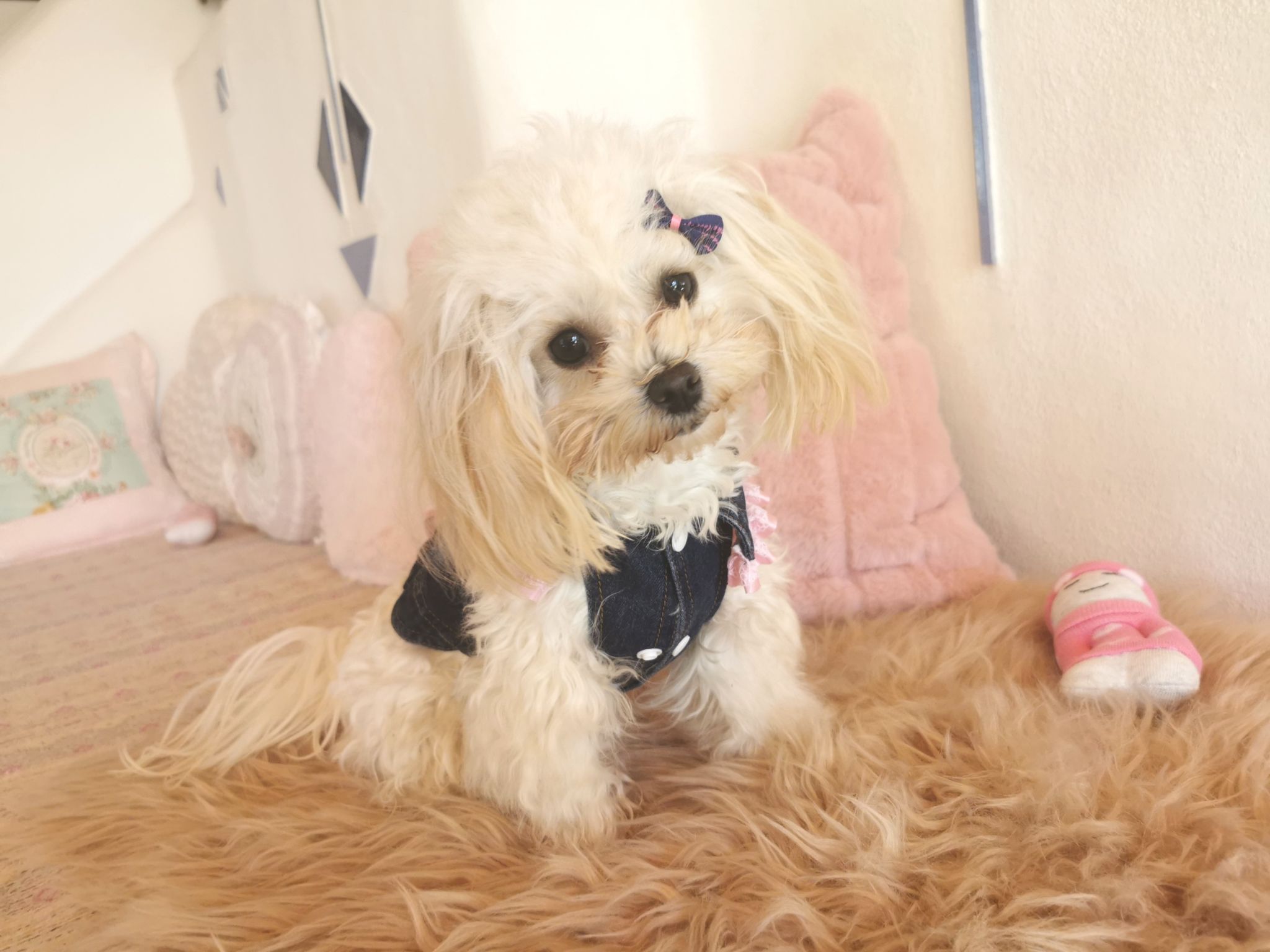 IMG 20231115 123844 resized 20250218 102700180