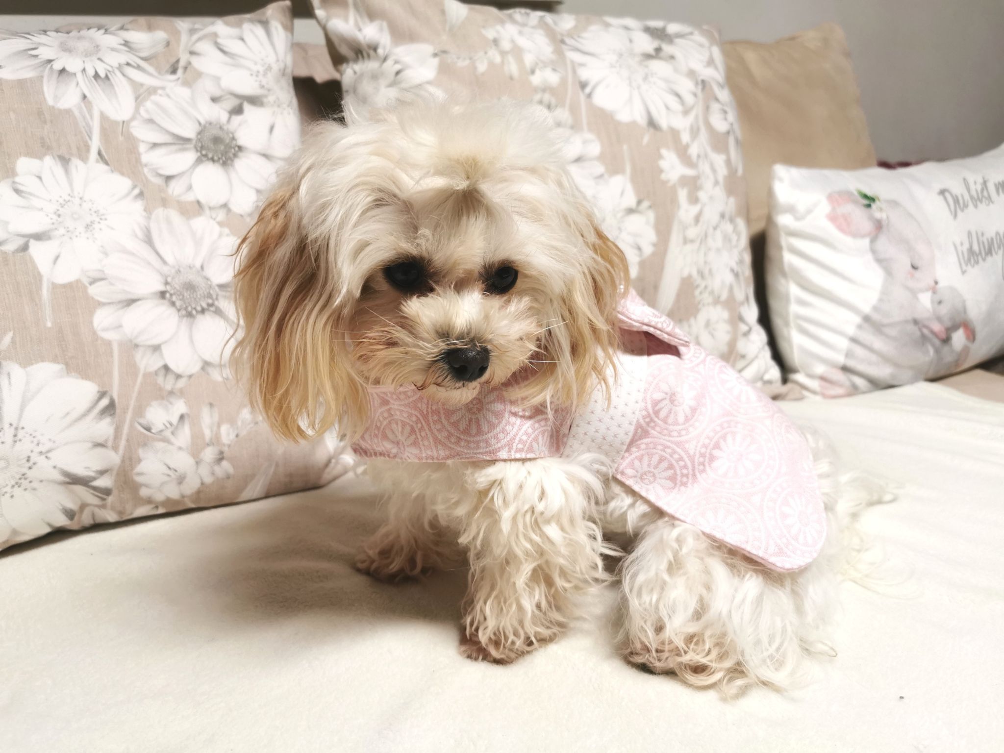 IMG 20231221 165554 resized 20250218 102700601