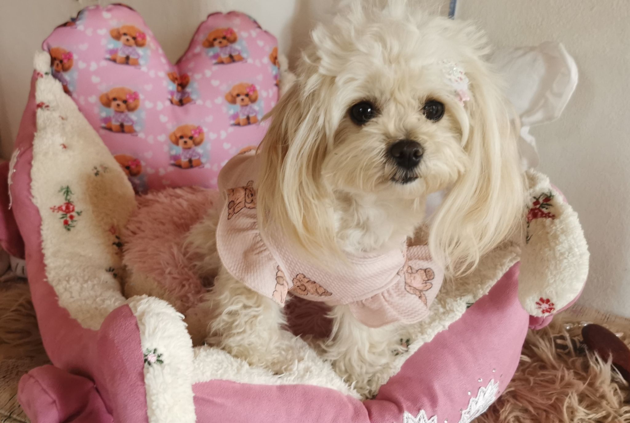 IMG 20250218 114821 resized 20250218 115520607