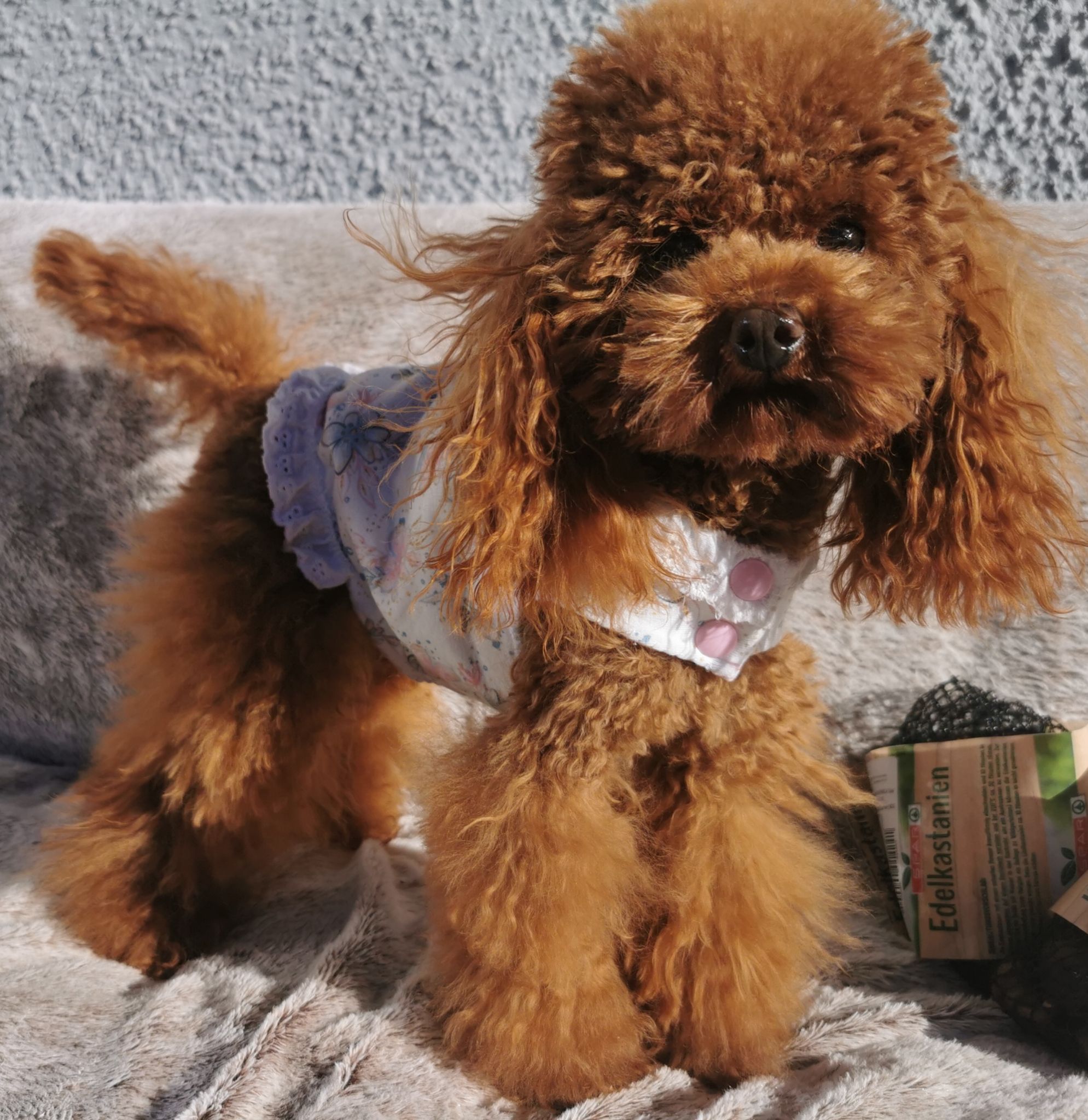 IMG 20231109 225641 resized 20250218 101914274