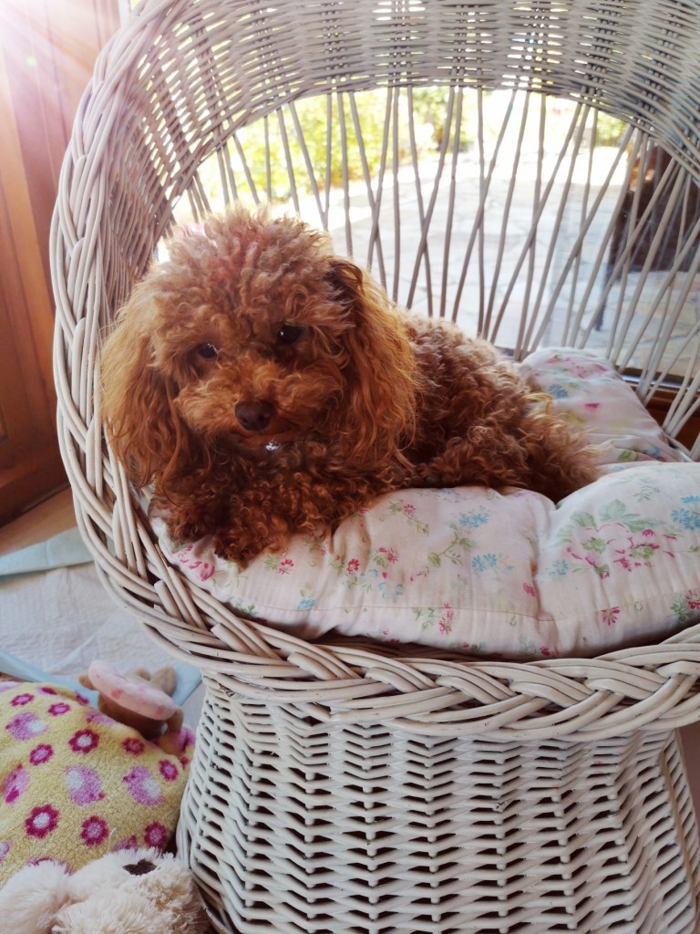 IMG 20210924 130946 resized 20211225 053845140