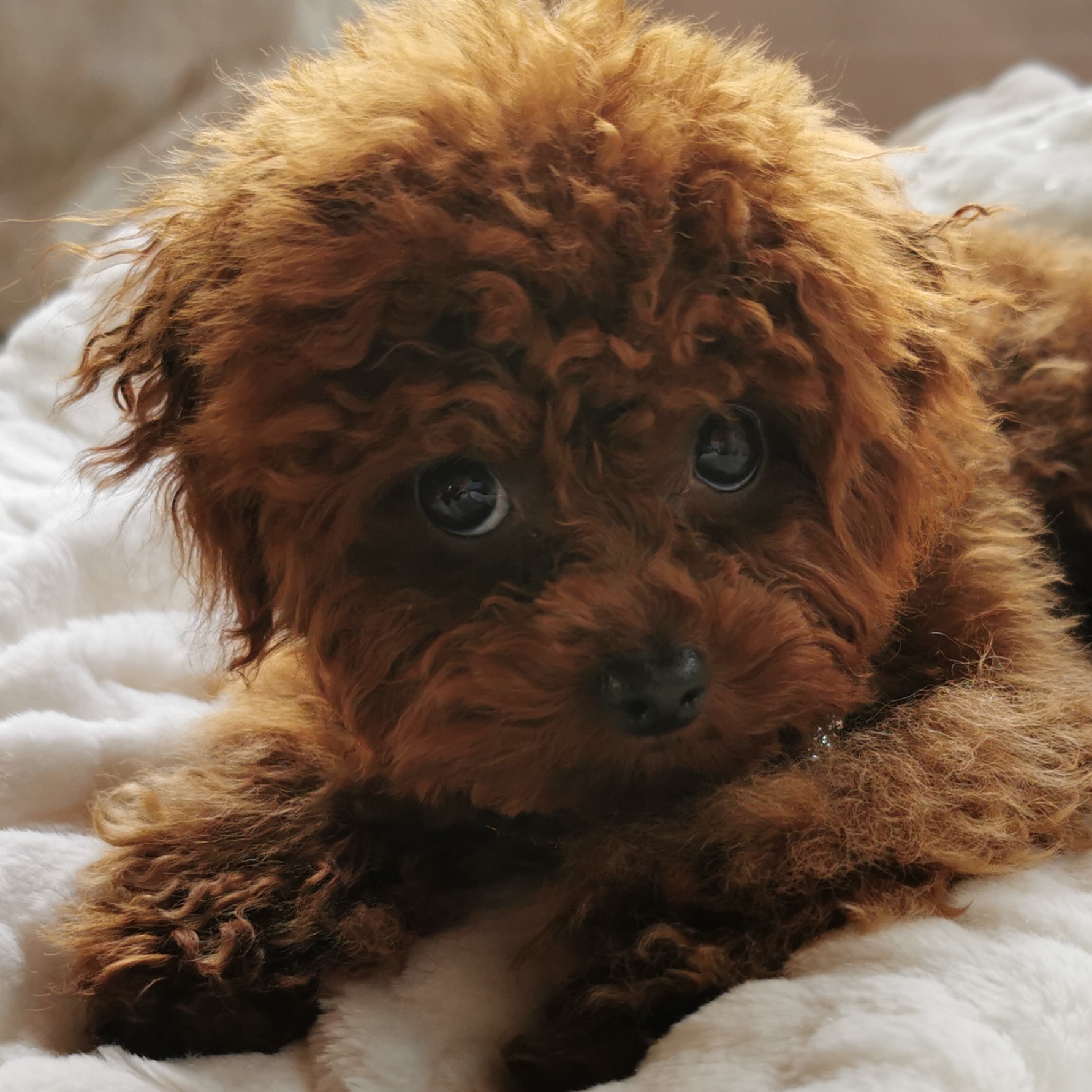 IMG 20240520 113630 567