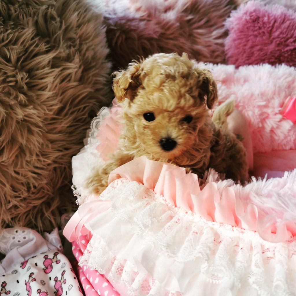 IMG 20200527 102253 052(1)