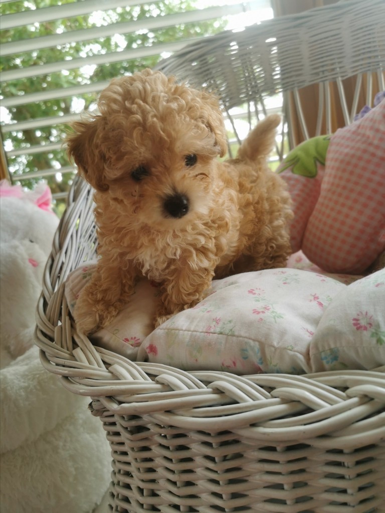 IMG 20200906 105021 resized 20211225 052638611