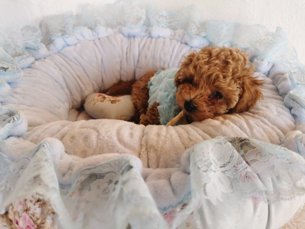 IMG 20210307 114652 resized 20211225 052638786